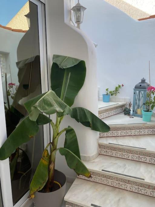 La Margarita Beach Apartment, Club Tropicana - One-Bedroom Apartment - 36