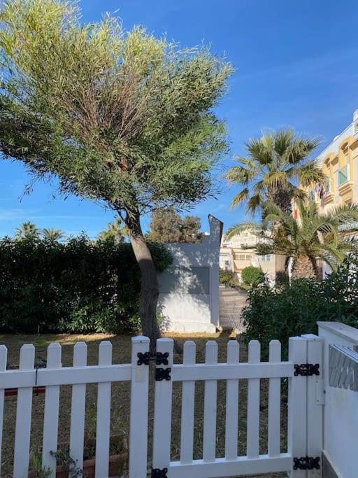 La Margarita Beach Apartment, Club Tropicana - One-Bedroom Apartment - 39