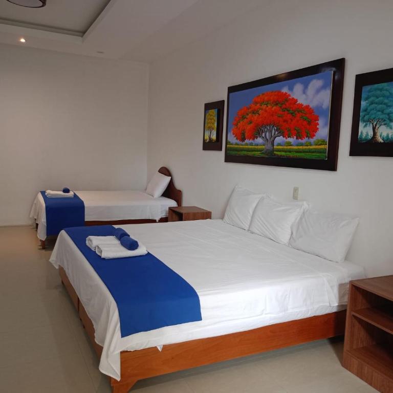 Galápagos Isabela Hotel Loja - Habitación Cuádruple Deluxe - 5