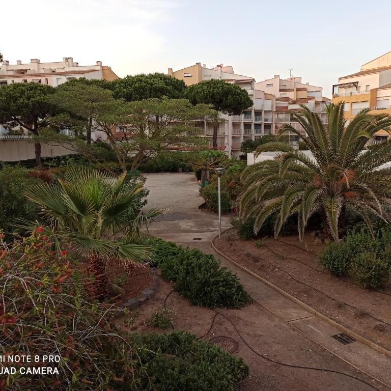 Vue dégagée et terrasse, studio 4 pers, piscine, parking, entre port et plage - Studio avec Terrasse - 20