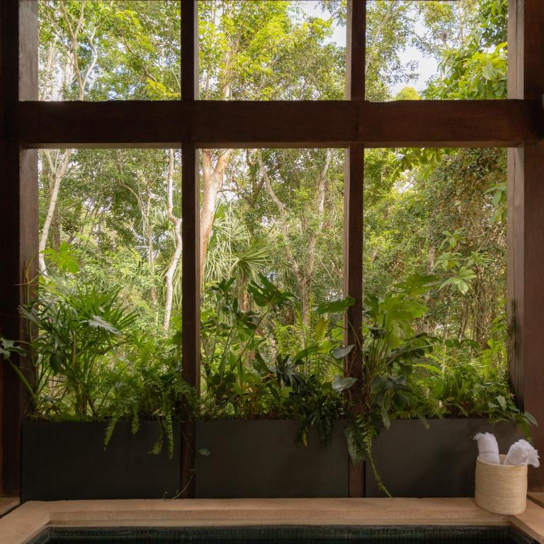 Boca de Agua Bacalar - Two Bedroom Pool Villa Double Bed - 10