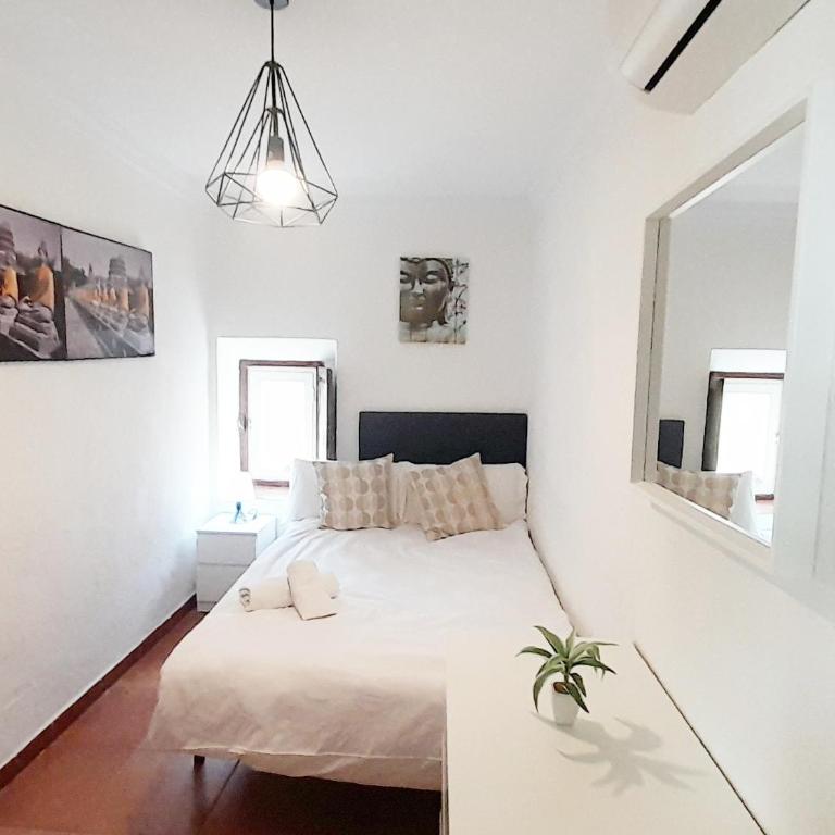 Apartamento Centro Histórico 2 dormitorios A - Apartamento de 2 dormitorios - 13