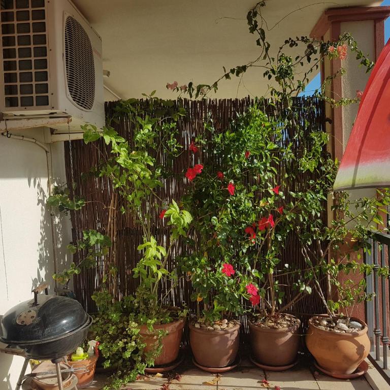 Casa del Sol - Apartamento de 2 dormitorios - 29