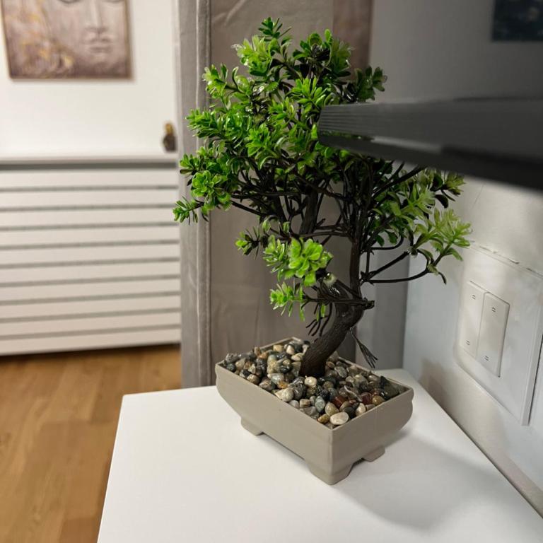 Studio 54 - Apartman sa 1 Spavaćom Sobom - 2