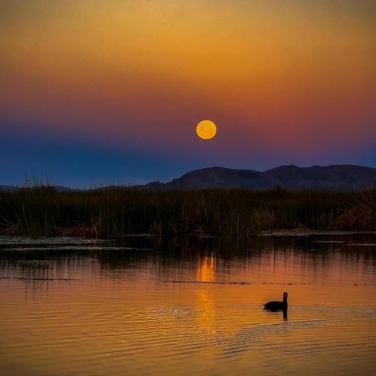 Amalia Titicaca Lodge - Deluxe King Suite - 25