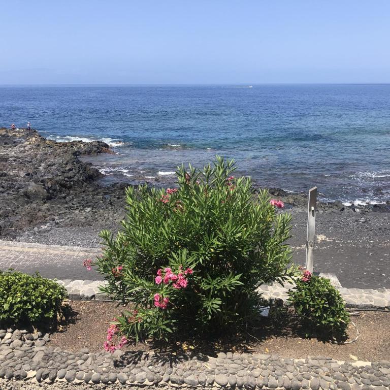 Max Neptuno 1st Line Beach Ocean View Apartment - One-Bedroom Apartment - 27