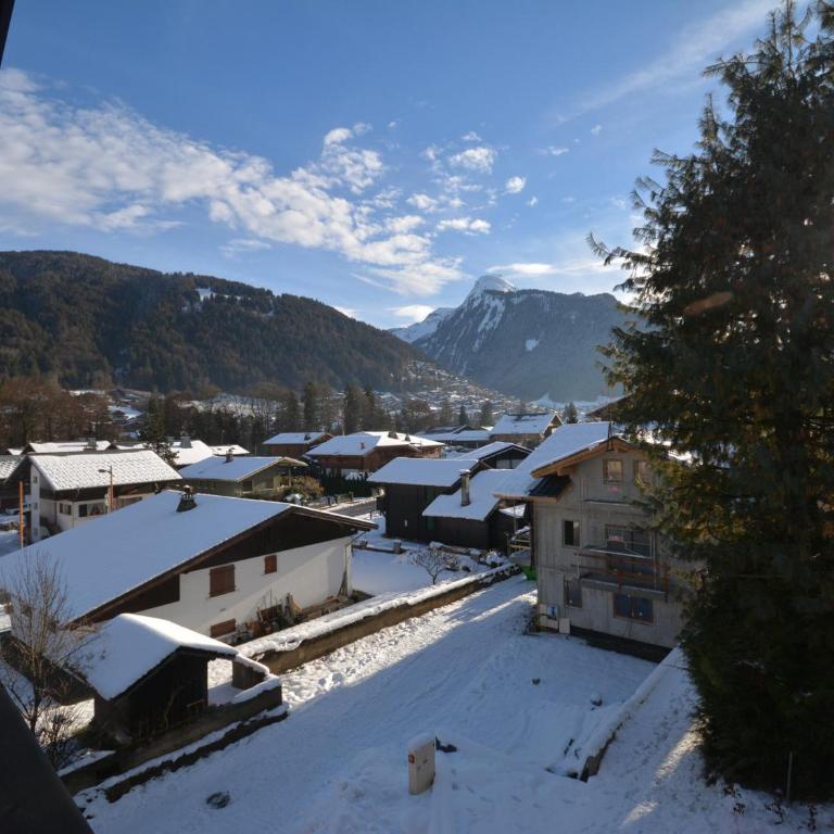 Charmant T3 à Morzine, proches des pistes, parking & wifi - FR-1-684-18 - Apartamento - 9