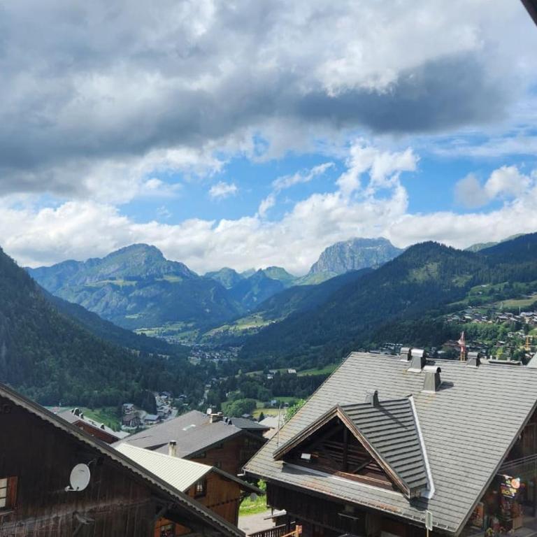 Chalet 3 Pièces à Châtel, 6 Pers, Balcon Sud - FR-1-676-196 - Apartment - 5