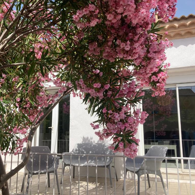 Belle villa spacieuse avec piscine privée, semi climatisée- 10 couchages, wifi, proche canal du midi et à 4 km de la mer LXPIN7 - Maison 4 Chambres - 20