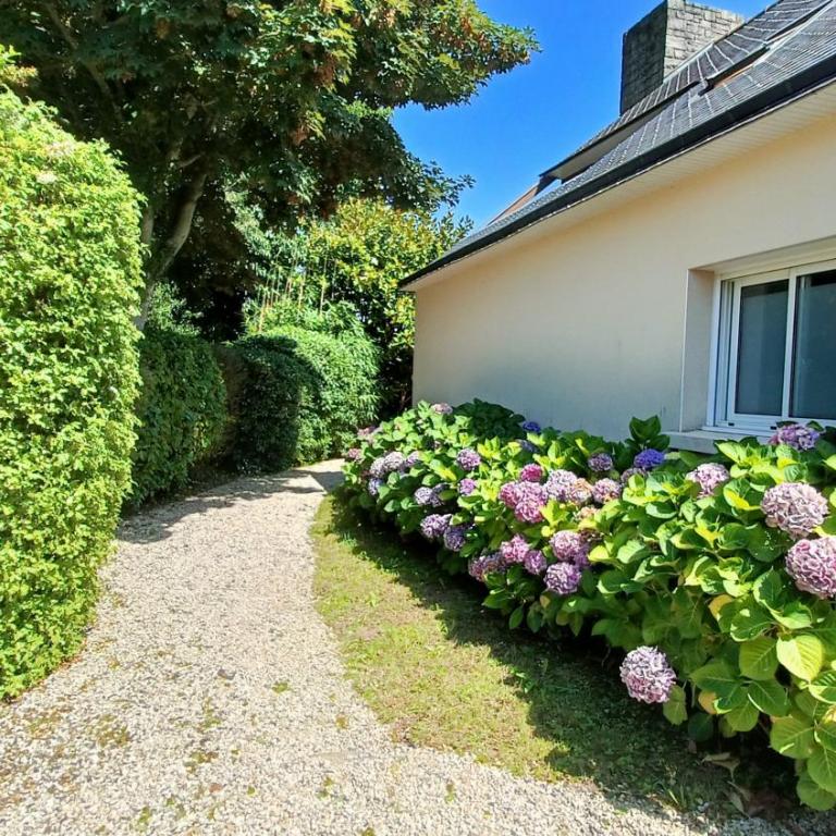 Ref 089 Maison standing avec jardin et internet pour dix - Maison 5 Chambres - 16