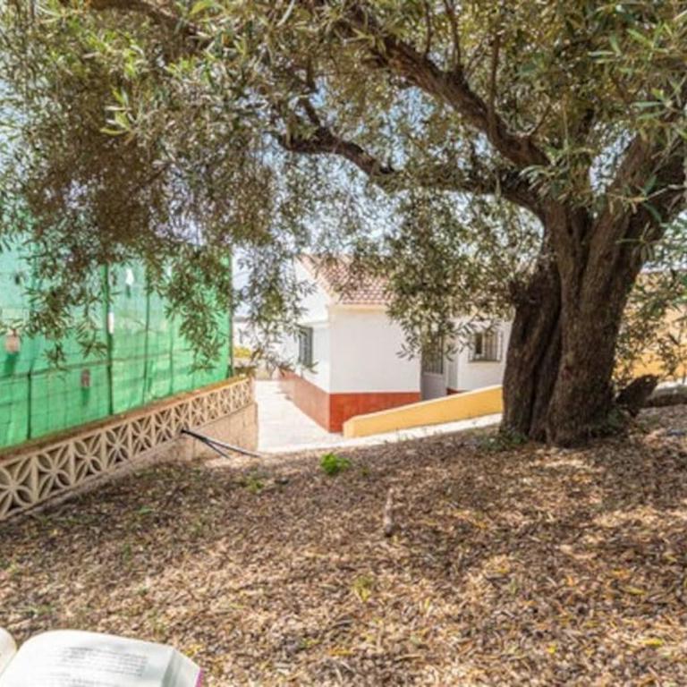 CASA CANDILES - Two-Bedroom House - 10