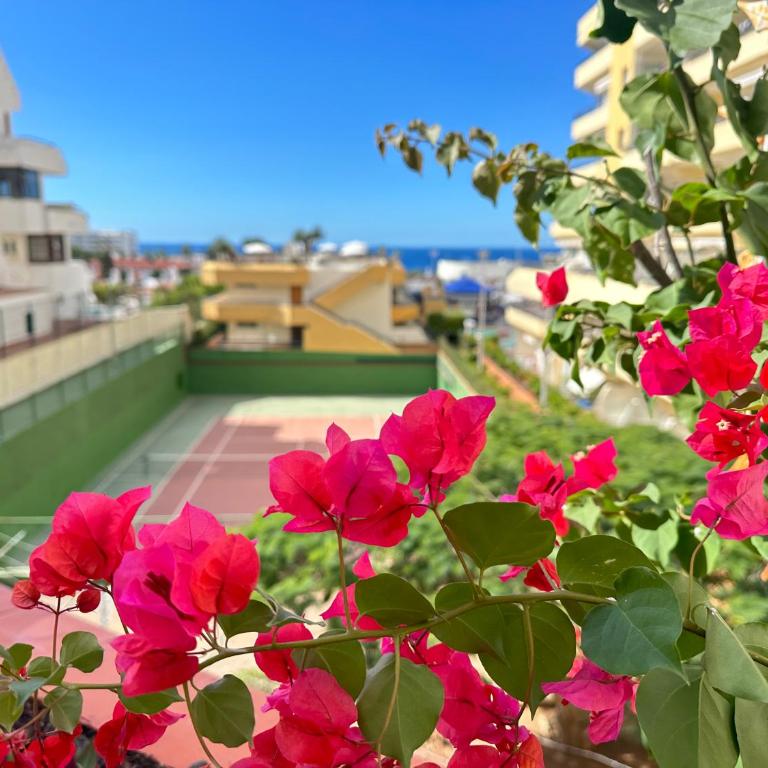 Apartment in Ocean Park, Costa Adeje, Tenerife - One-Bedroom Apartment - 21