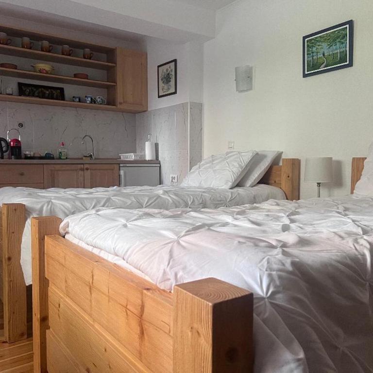 City Garden - Apartman sa 1 Spavaćom Sobom - 12