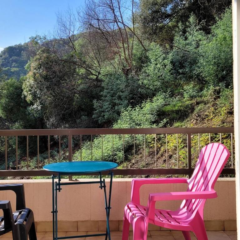 Studio ensoleillé avec balcon et parking - WiFi inclus - Centre-ville Amélie-les-Bains - Studio - 12