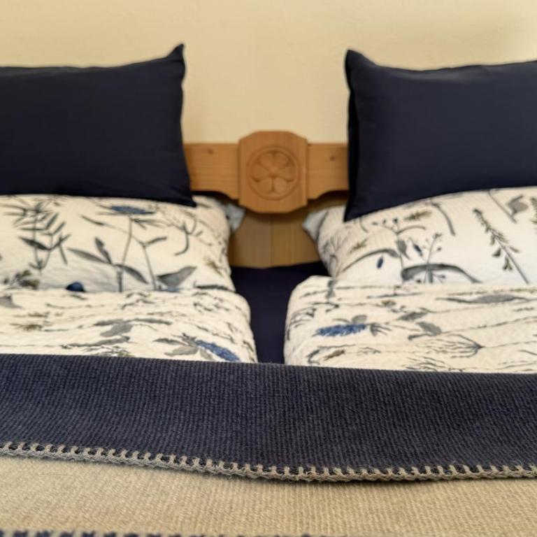 ski bike and hike Leogang - Apartment mit 2 Schlafzimmern - 6