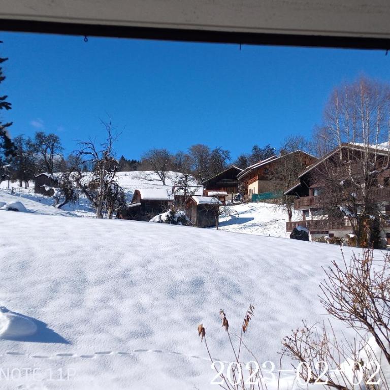 Très beau T3 en rez de jardin à 5 minutes de la station de Carroz - Appartement 2 Chambres - 17