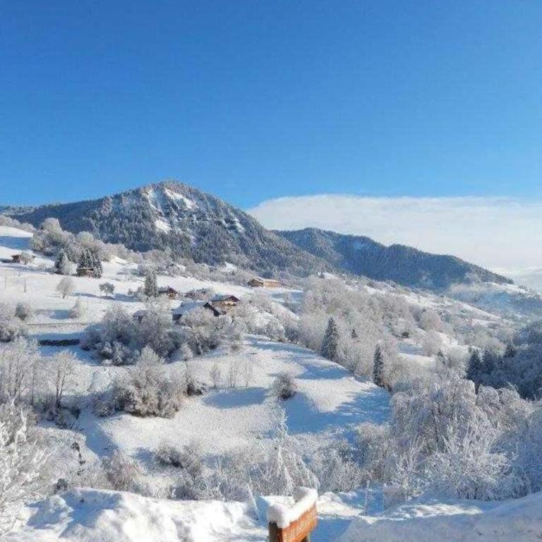 Appartement cosy avec balcon et vue montagne - Appartement - 16