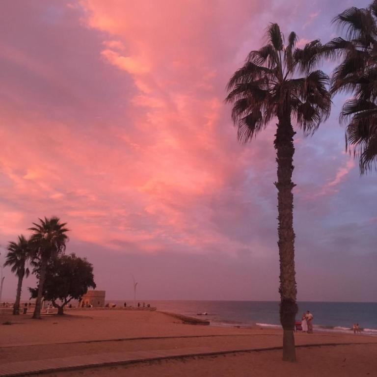 APJ Emperadores Apartment with swimming pool, 100 m from beach La Mata - Appartamento con 2 Camere da Letto - 25