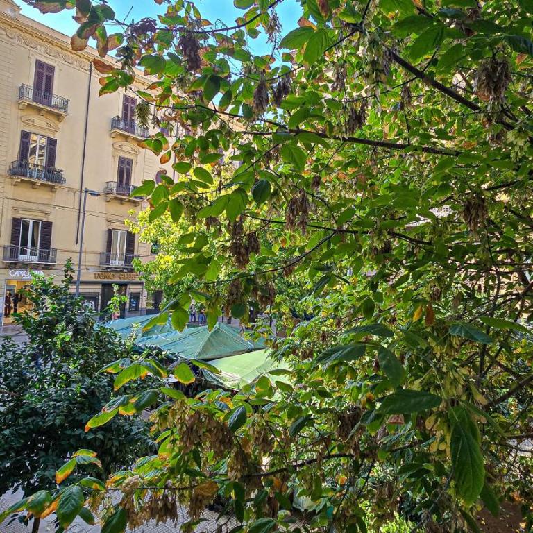 Soldano luxury apartment - Appartamento Deluxe con 2 Camere da Letto - 63