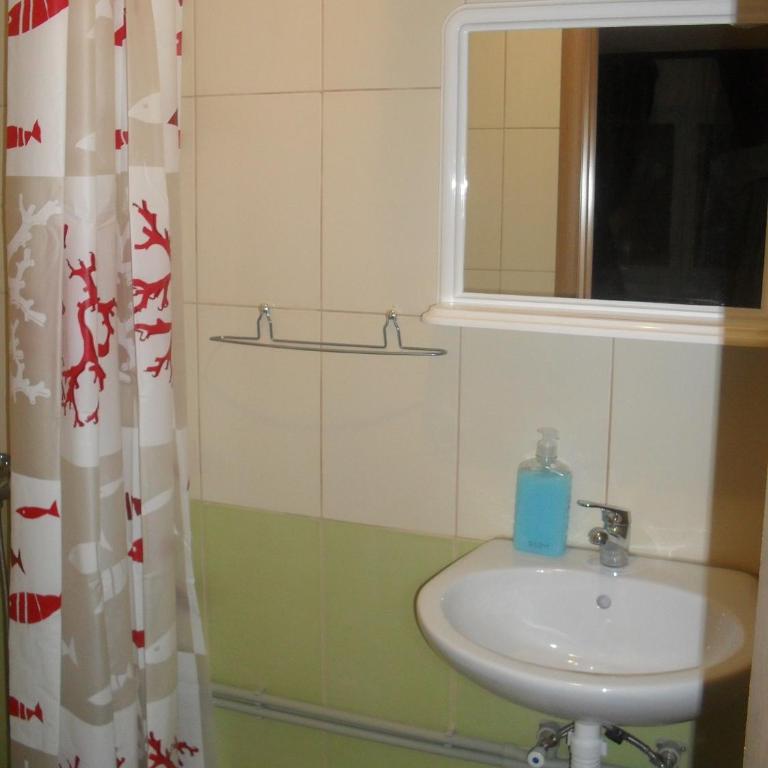 Golubović Apartments - Classic Double Room with Shower - 13
