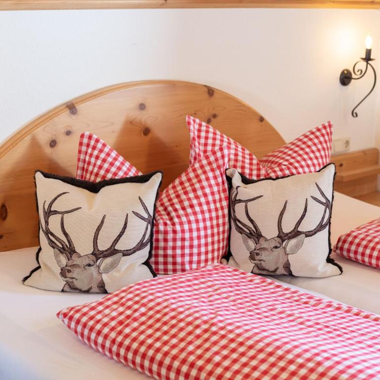 Haus Anita Sommer-Bergbahnticket-Unlimited - Apartment mit 2 Schlafzimmern und Balkon - 19