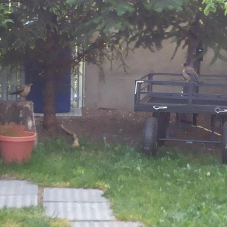 VALYAK rent apart hotel - Servicios Integrales - Apartamento - 2 niveles - 19