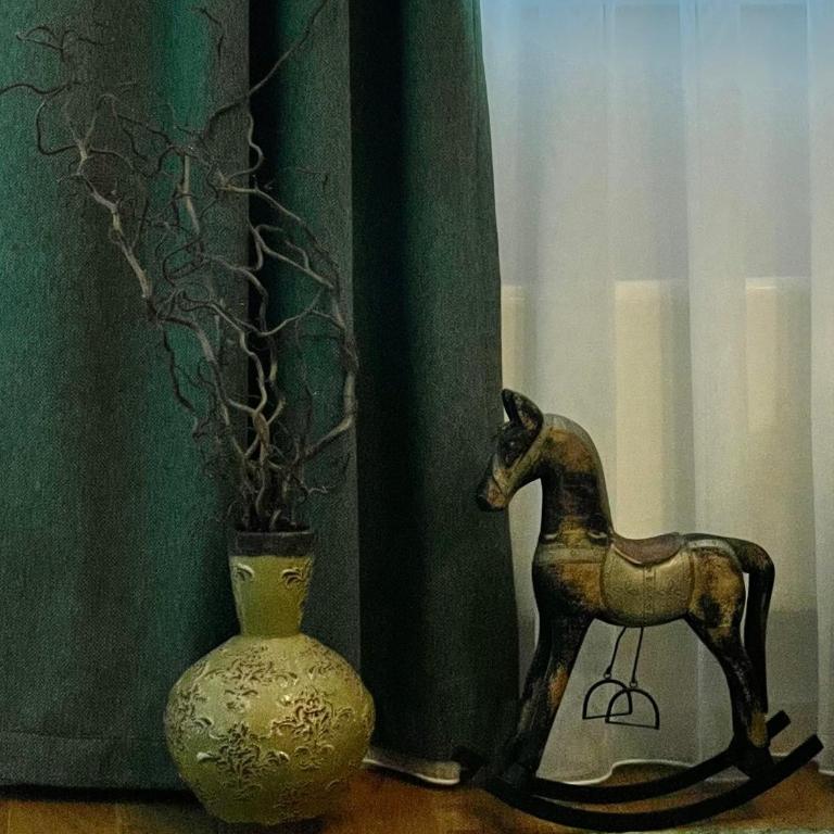 Apartman Vini - Apartman sa 1 Spavaćom Sobom - 14