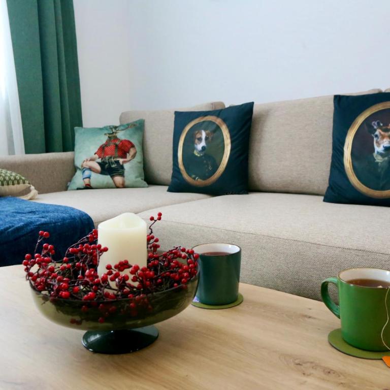 Apartman Vini - Apartman sa 1 Spavaćom Sobom - 20