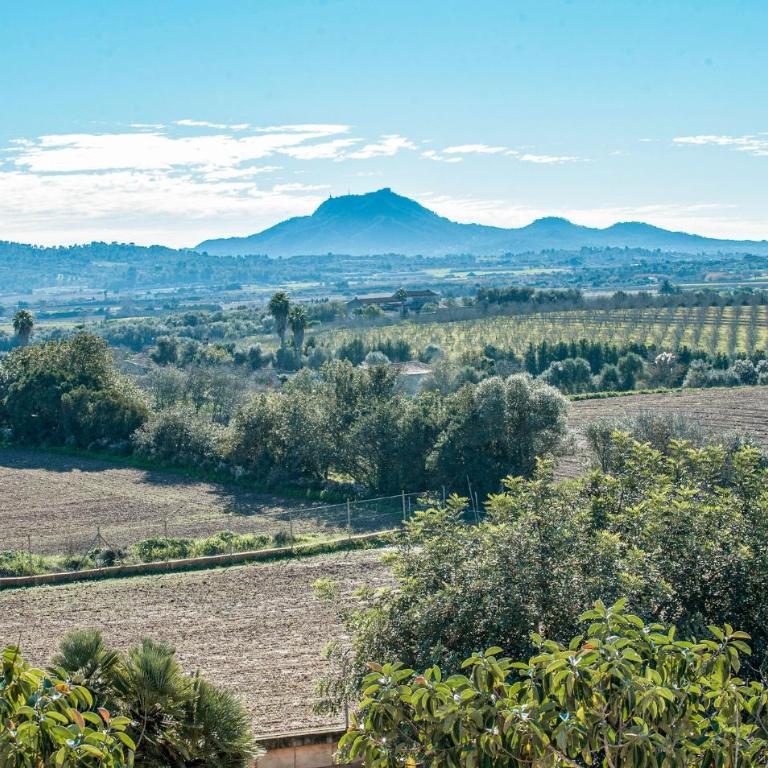 Can Corem De Son Moix - Casa de Vacaciones de 6 dormitorios - 6