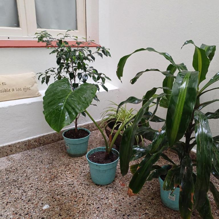 DESCANSO IDEAL CENTRICO "Con patio y balcón" - Apartamento de 2 dormitorios - 5