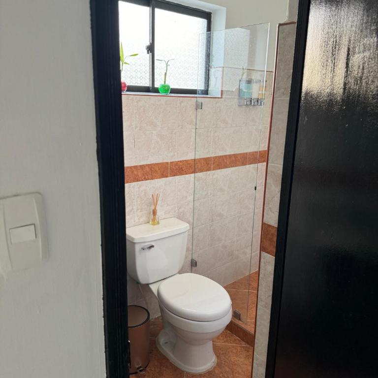 Casa RAPA La70 - Apartamento de 3 dormitorios - 62