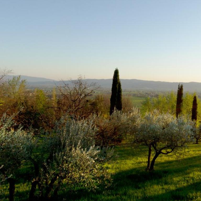 Villa Degli Ulivi - Apartamento de 2 dormitorios - 11