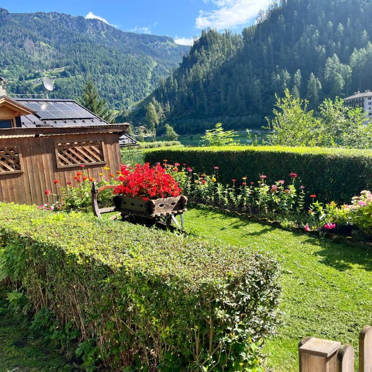 Appartamento Fontanive - Appartamento con 2 Camere da Letto - 18