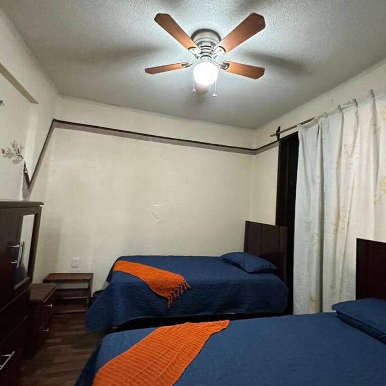 Departamento Colibrí - Apartamento de 3 dormitorios - 10