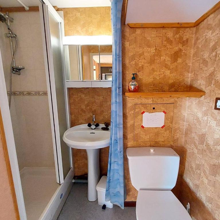 Studio cosy 17m² pour 2 pers. à Plan Peisey, animaux admis - FR-1-757-111 - Studio - 5