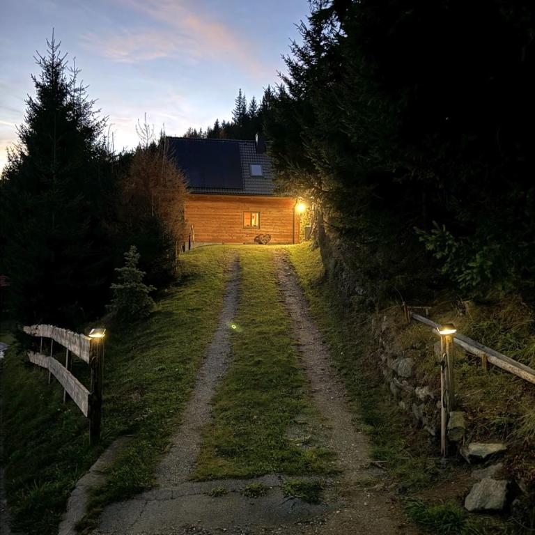 ALMNEST - LACHTAL - Ferienhaus - 35