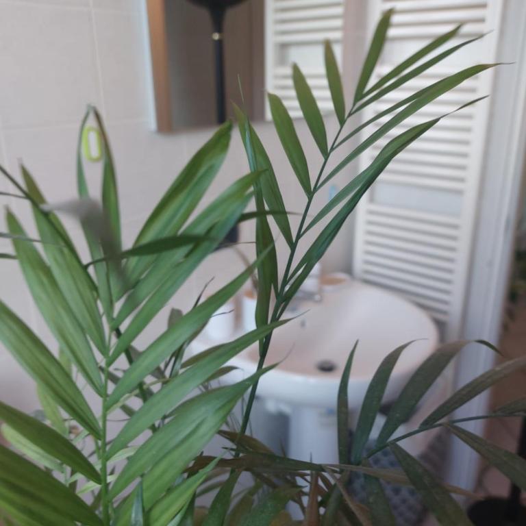 APPARTAMENTO CHEMIN DE FER - Apartamento de 2 dormitorios - 36