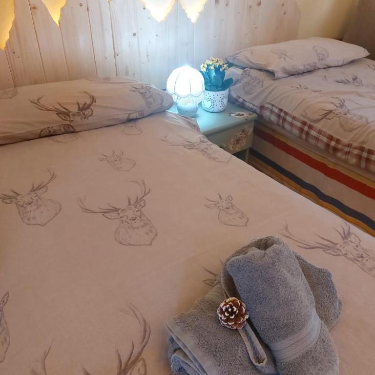 APPARTAMENTO CHEMIN DE FER - Apartamento de 2 dormitorios - 29