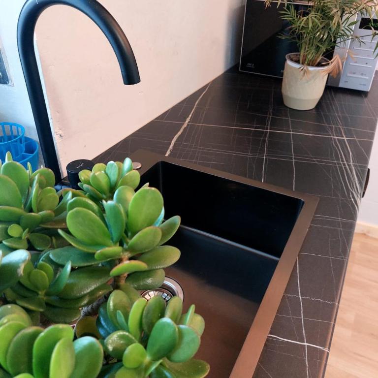 APPARTAMENTO CHEMIN DE FER - Apartamento de 2 dormitorios - 33