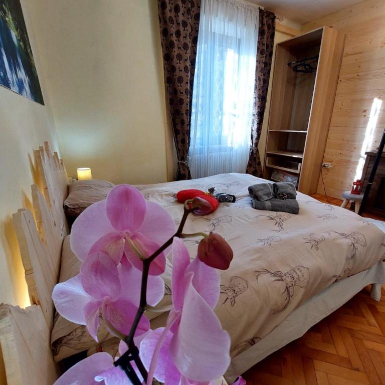 APPARTAMENTO CHEMIN DE FER - Apartamento de 2 dormitorios - 18