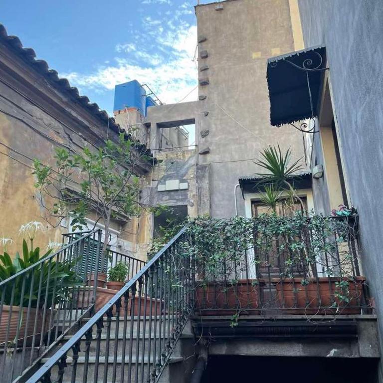 casa catania termini home 5 - One-Bedroom Apartment - 5