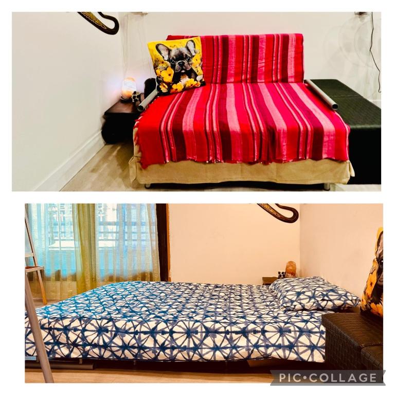 Casa vulcano - Appartamento Deluxe - 20