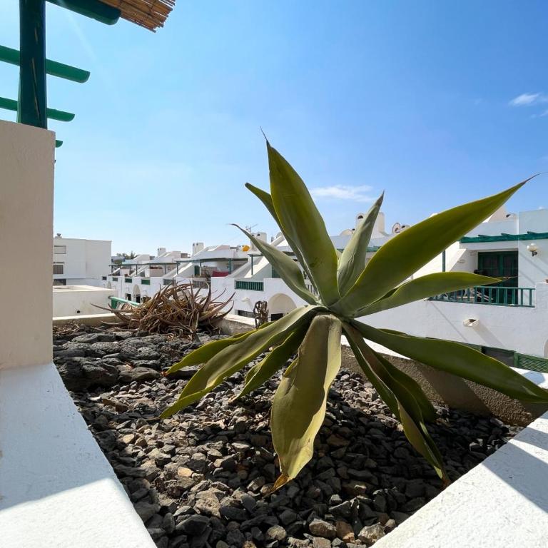 Mena House - Casa Vacacional de 3 dormitorios - 23
