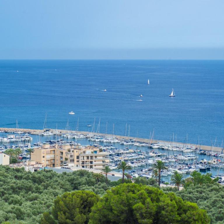 Le Mirador, vue mer, piscine, terrasse - Apartamento de 1 dormitorio - 5
