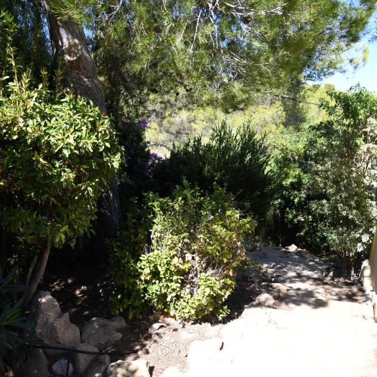 Villa Las Viñas with beautiful view - Villa de 3 dormitorios - 50
