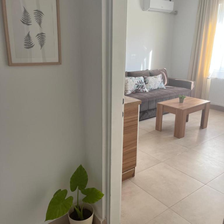 Apartmani Tesla - Apartman sa Pogledom na Planinu - 16