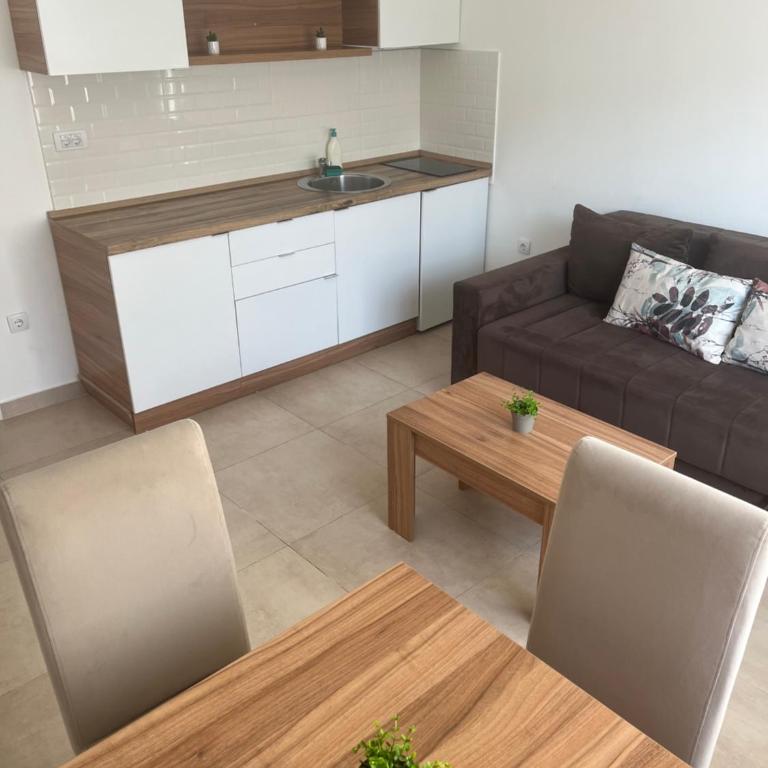 Apartmani Tesla - Apartman sa Pogledom na Planinu - 13