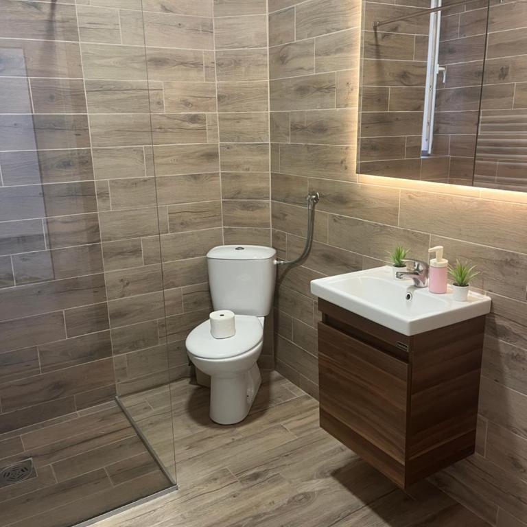 Apartmani Tesla - Apartman sa Pogledom na Planinu - 12