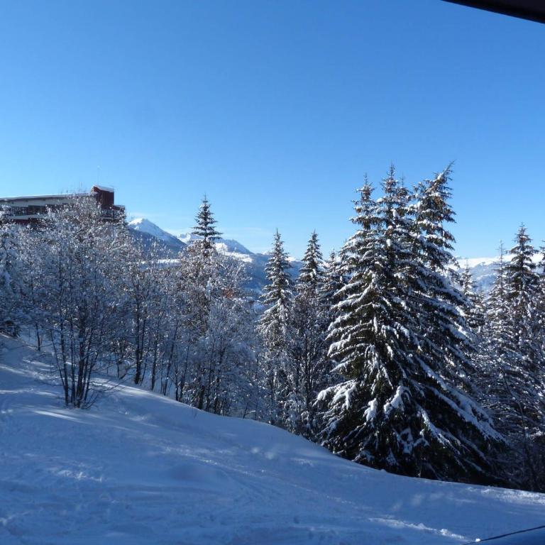 Appartement 2 pièces pour 6 personnes, animaux admis, Arc 1800 - FR-1-411-783 - Appartement (6 Adultes) - 12