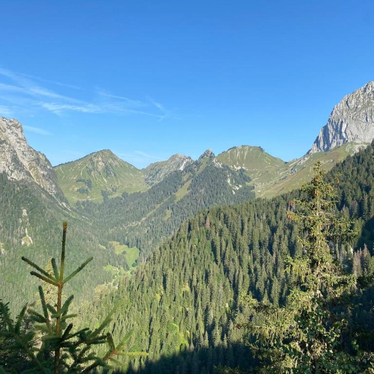 Appart 8 pers ac Jacuzzi portes du soleil La Chapelle-Chatel - Appartement 3 Chambres - 27
